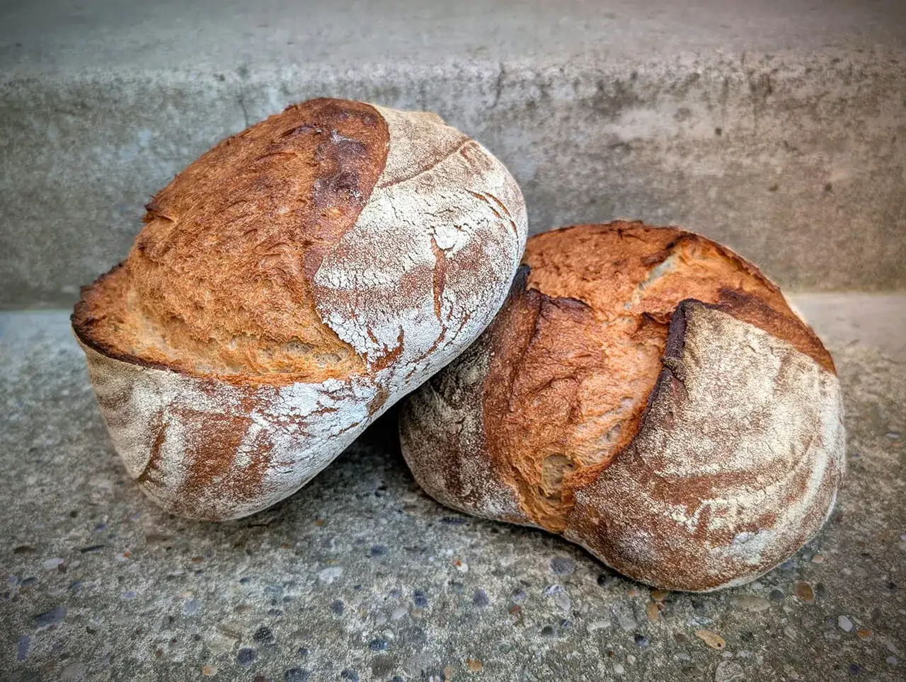 Zwei rustikale Brote, perfekt gebacken ohne Form. Die Kruste ist goldbraun und leicht mehlig, ein Beweis für gelungenes Brot backen ohne Form.