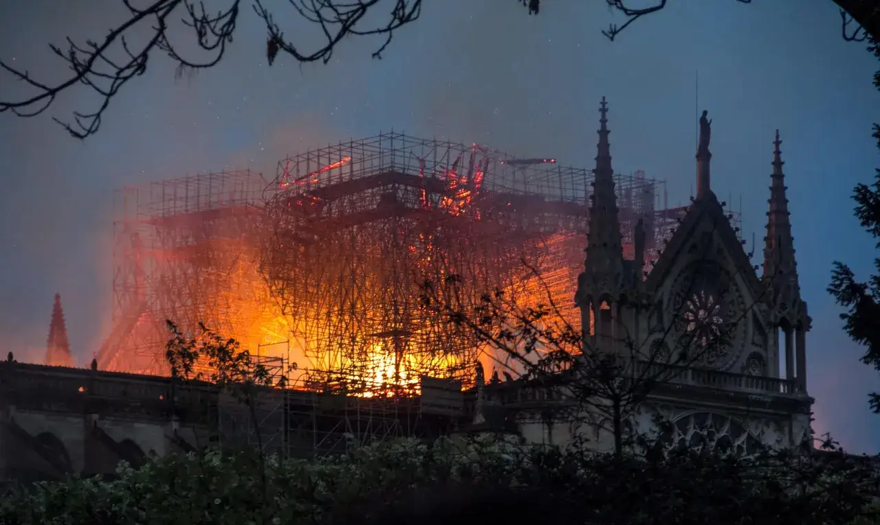 Notre Dame pożar: płonąca katedra w otoczeniu rusztowań, widok przez gałęzie drzew.