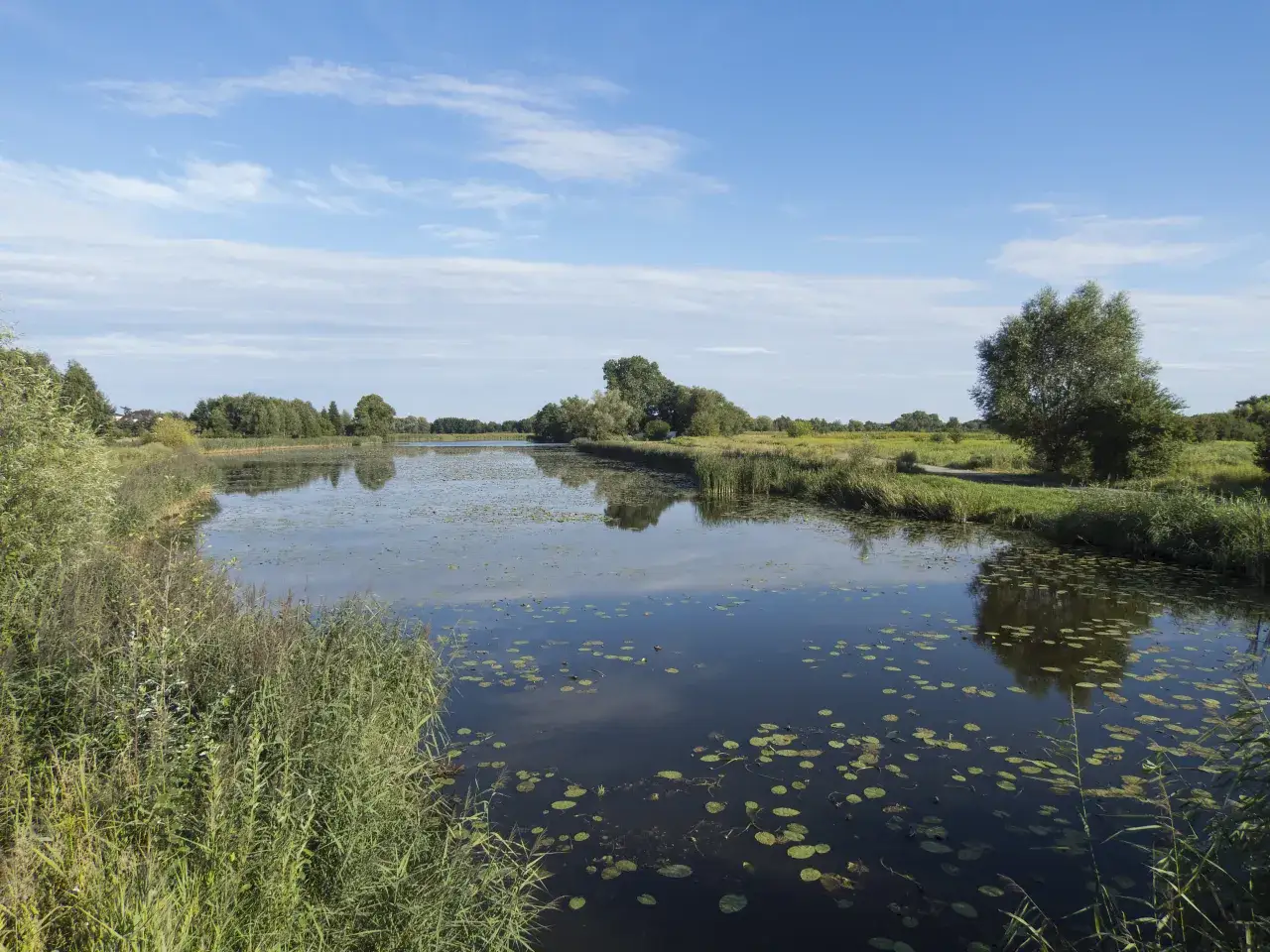 Spokojne jezioro pod morgami, otoczone zielenią i odbijające błękitne niebo z chmurami. W wodzie unoszą się liście lilii wodnych.