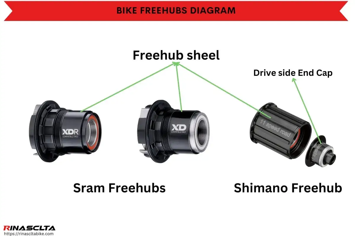 Różne rodzaje kaset rowerowych: Sram XDR, Sram XD i Shimano. Diagram przedstawia budowę bębenka.