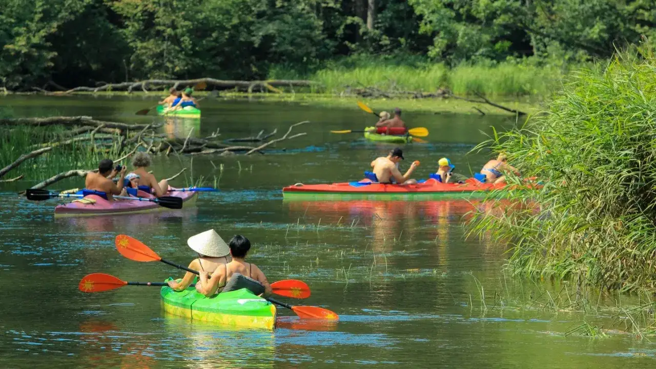 Ludzie na kajakach płyną spokojną rzeką. Czy riverside to przyjaciel, czy wróg? Dziś wydaje się przyjazny.
