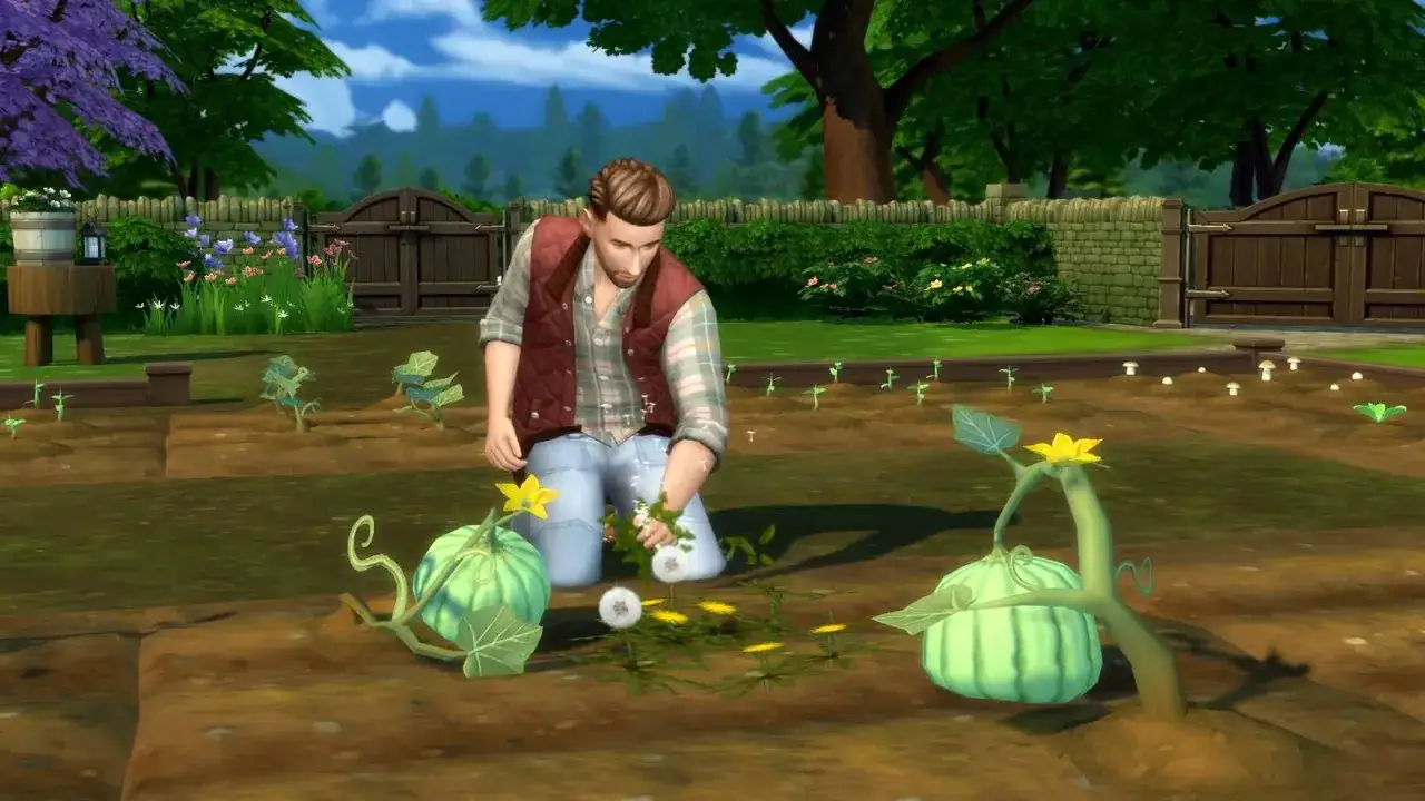 Sim w The Sims 4 pielęgnuje swoje plony, dbając o piękne rośliny i dynie.