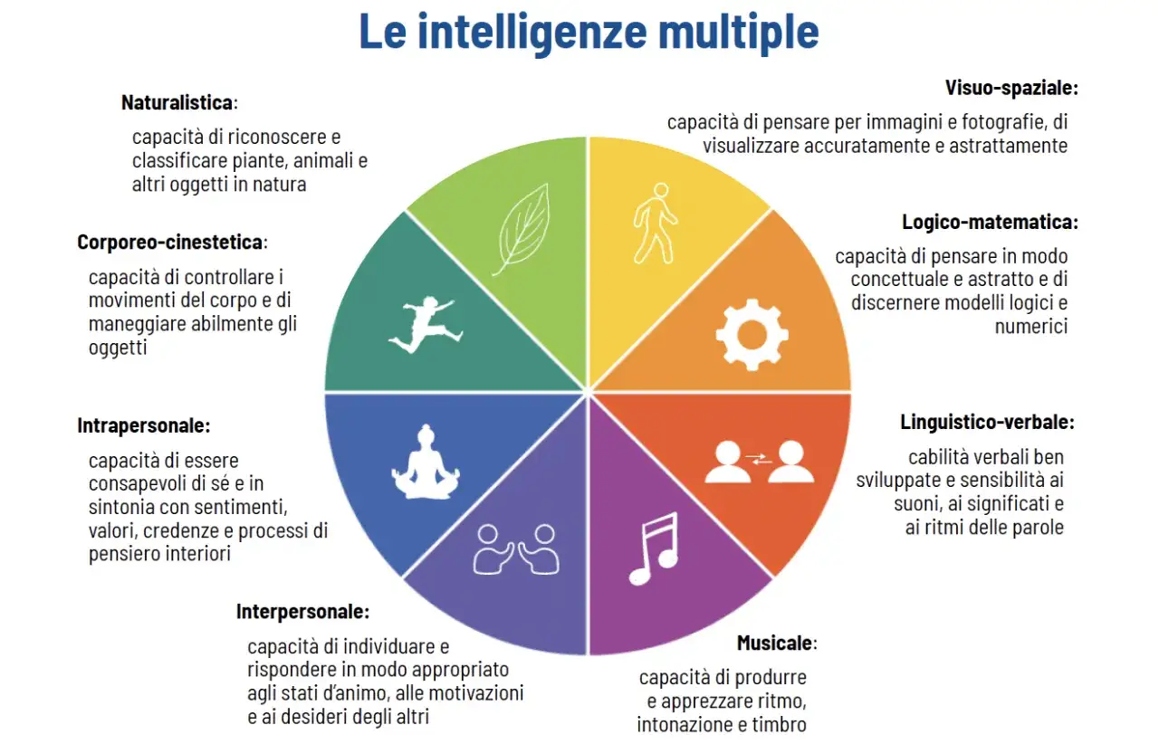 Diagramma a torta che illustra le intelligenze multiple: naturalistica, corporeo-cinestetica, intrapersonale, interpersonale, musicale, linguistico-verbale, logico-matematica e visuo-spaziale.