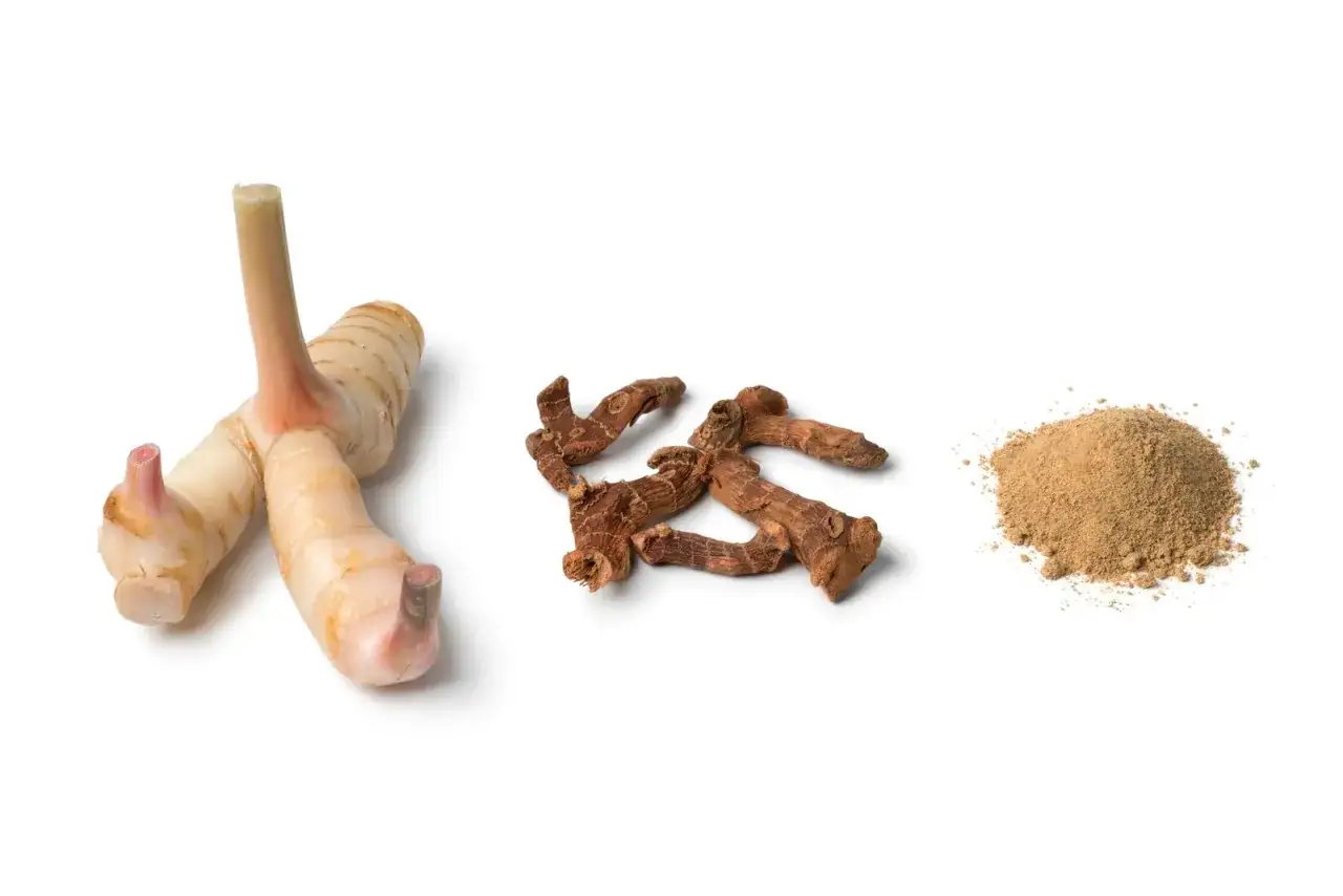 Świeży, suszony i mielony galangal – poznaj, galangal co to za przyprawa.