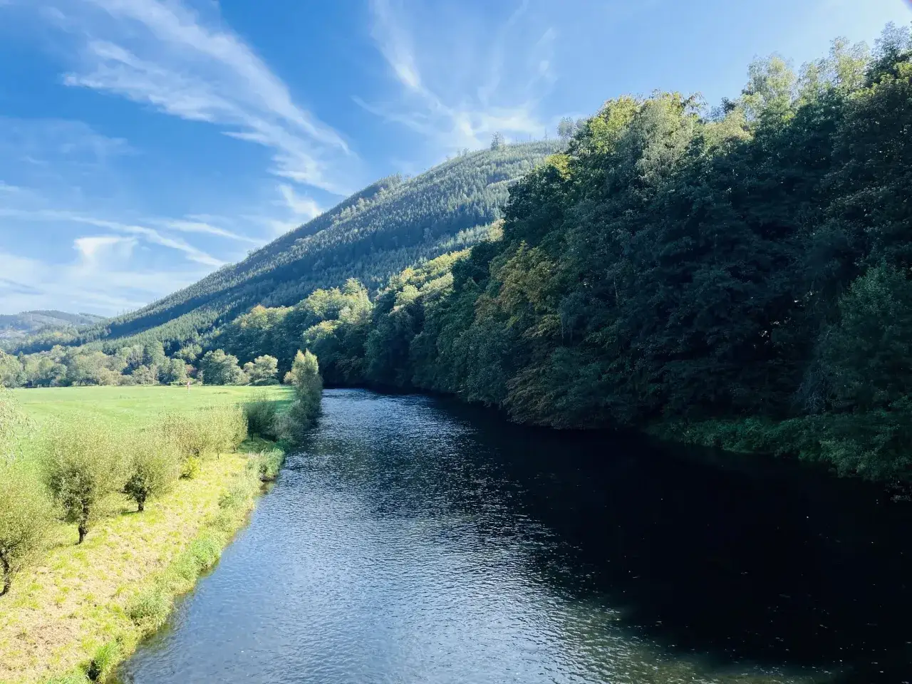 Idyllische Flusslandschaft mit bewaldetem Hang und grüner Wiese, perfekt für eine rennrad tour 3 tage.