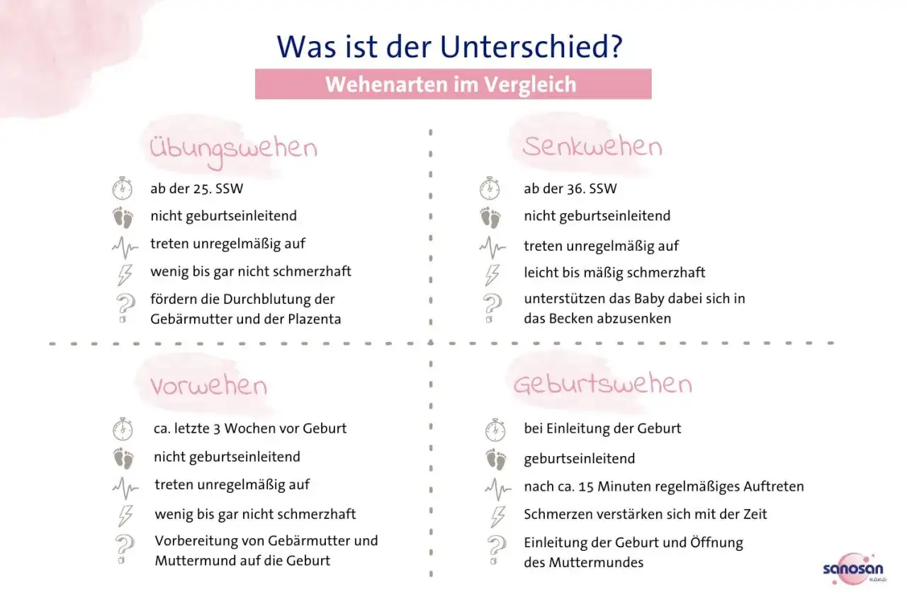 Vergleich von Wehenarten: &Uuml;bungswehen, Senkwehen ab 36. SSW, Vorwehen und Geburtswehen.
