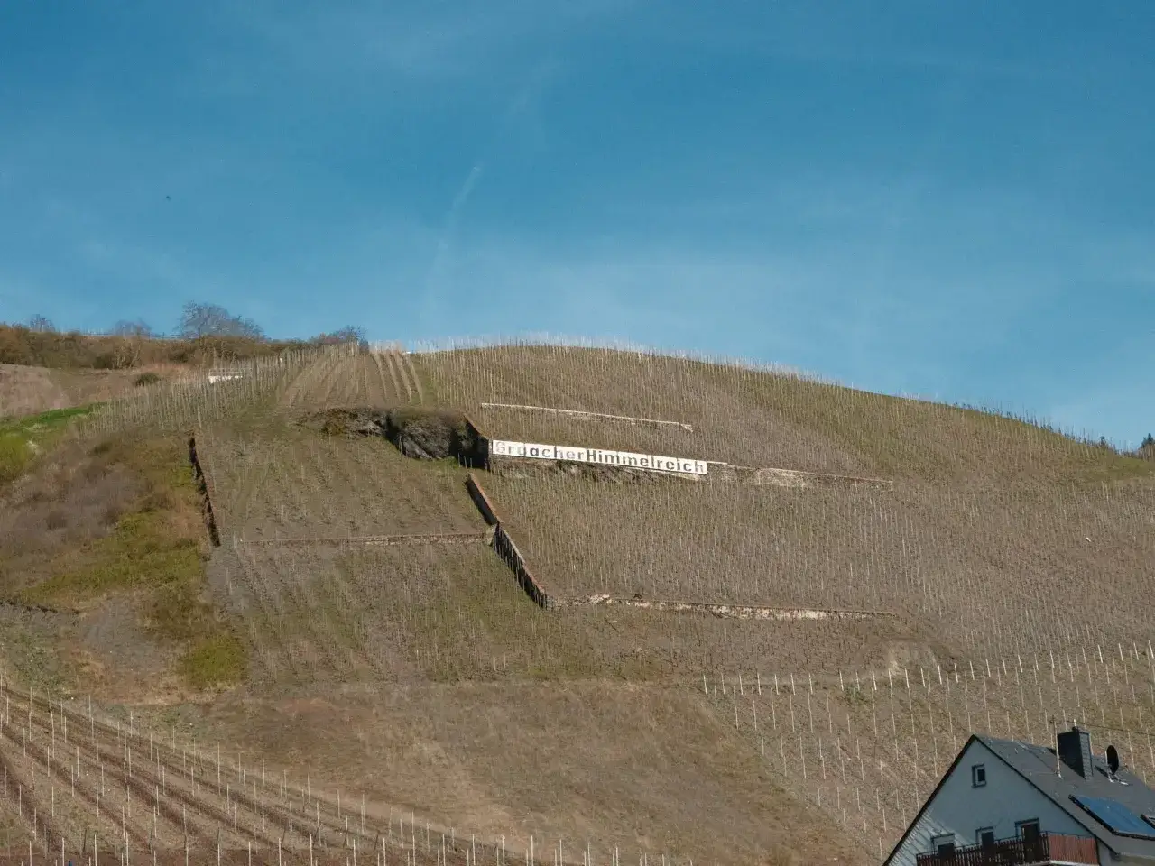 Steiler Weinberg mit dem Schriftzug 