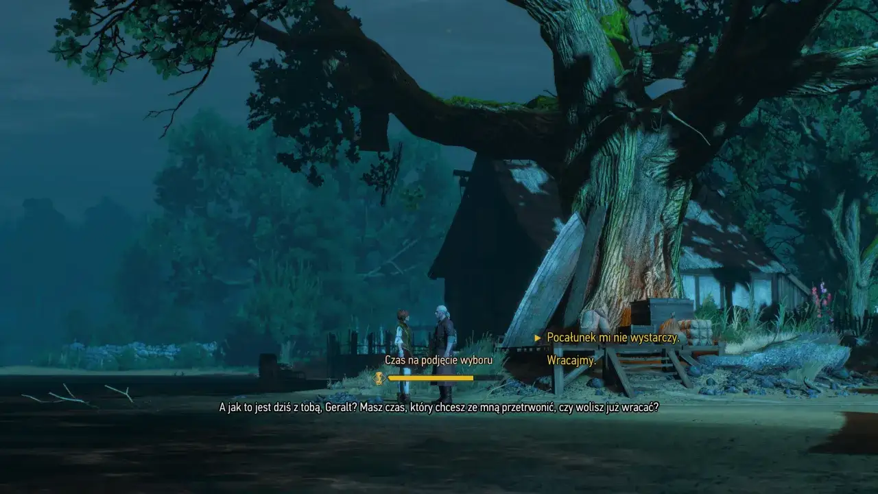 Geralt i Triss rozmawiają pod starym drzewem. Czy romans z Shani ma wpływ na Yennefer? Triss pyta, czy Geralt ma czas dla niej, czy woli wracać.