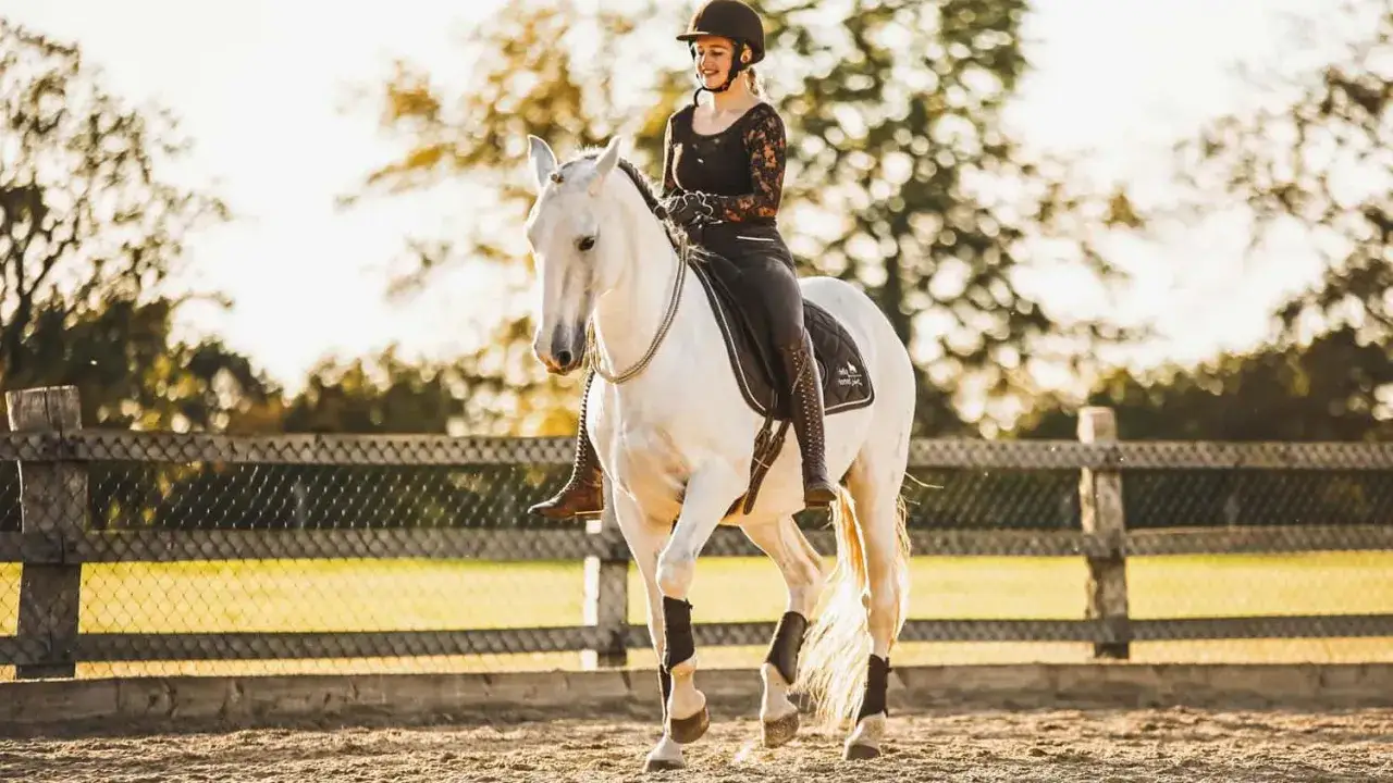 Junge Frau reitet ein wei&szlig;es Pferd im Halsring. Sie tr&auml;gt einen Helm und Reitstiefel.