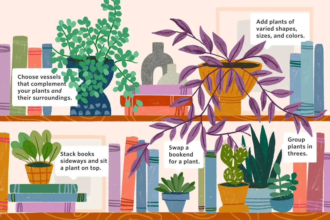 Tips on how to decorate a bookshelf with plants: stack books, swap bookends for plants, group plants, and choose vessels that complement your plants.