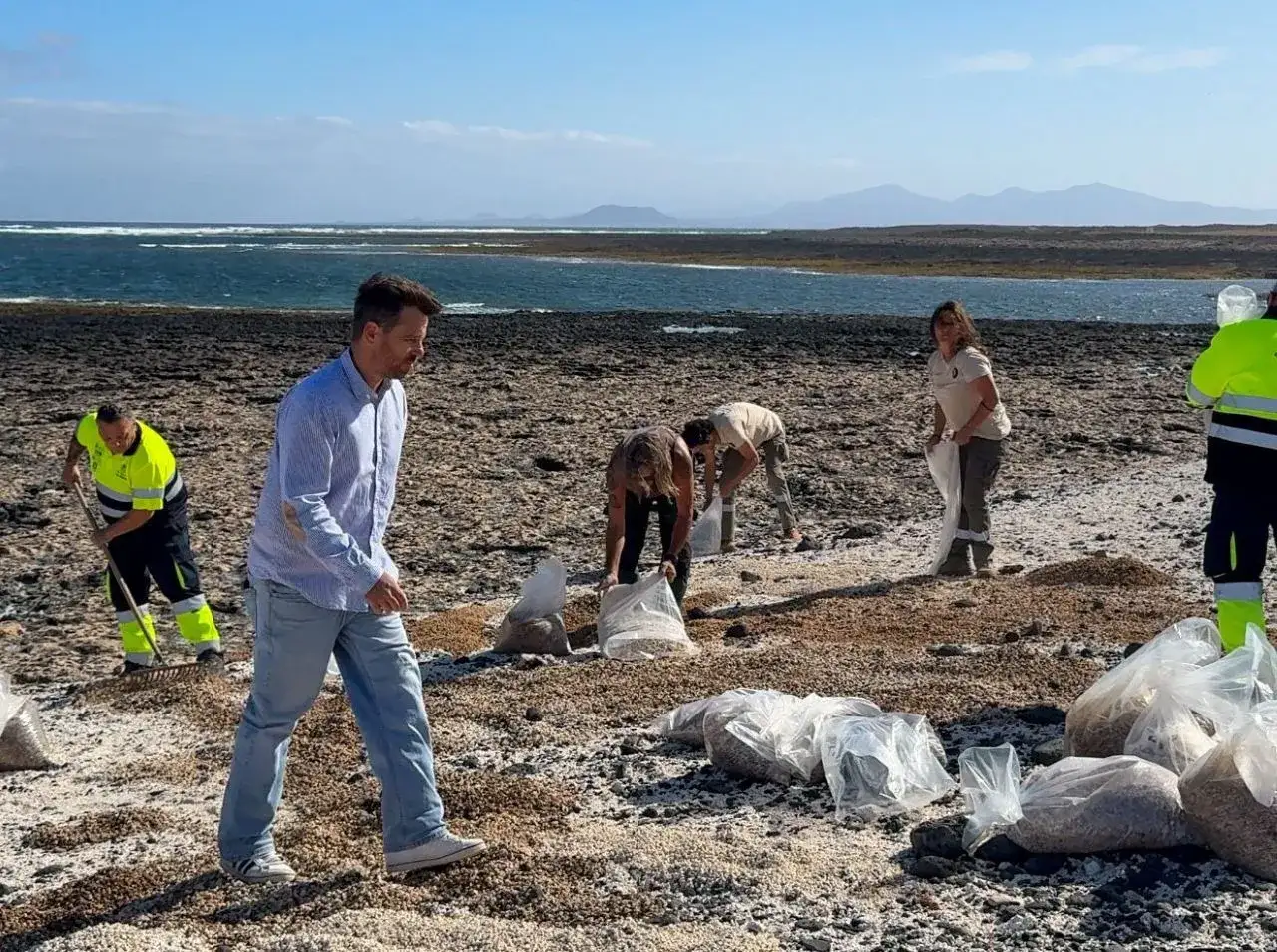 Voluntarios limpian la playa Palomitas en Fuerteventura, recogiendo material en bolsas.