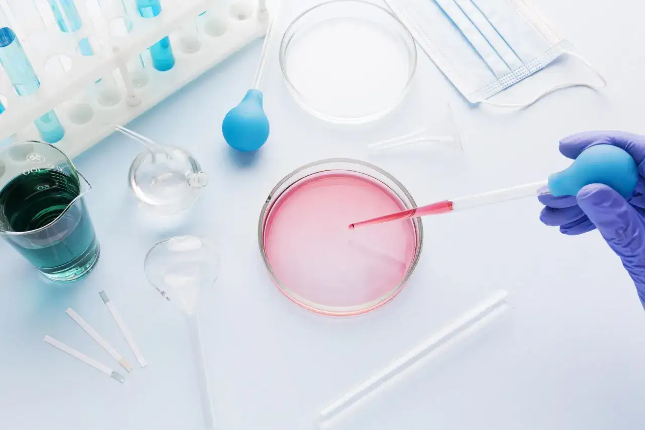 Precyzyjne krople różowego płynu pobierane pipetą do szalki Petriego. To kluczowy etap przygotowania do in vitro, gdzie każdy szczegół ma znaczenie.