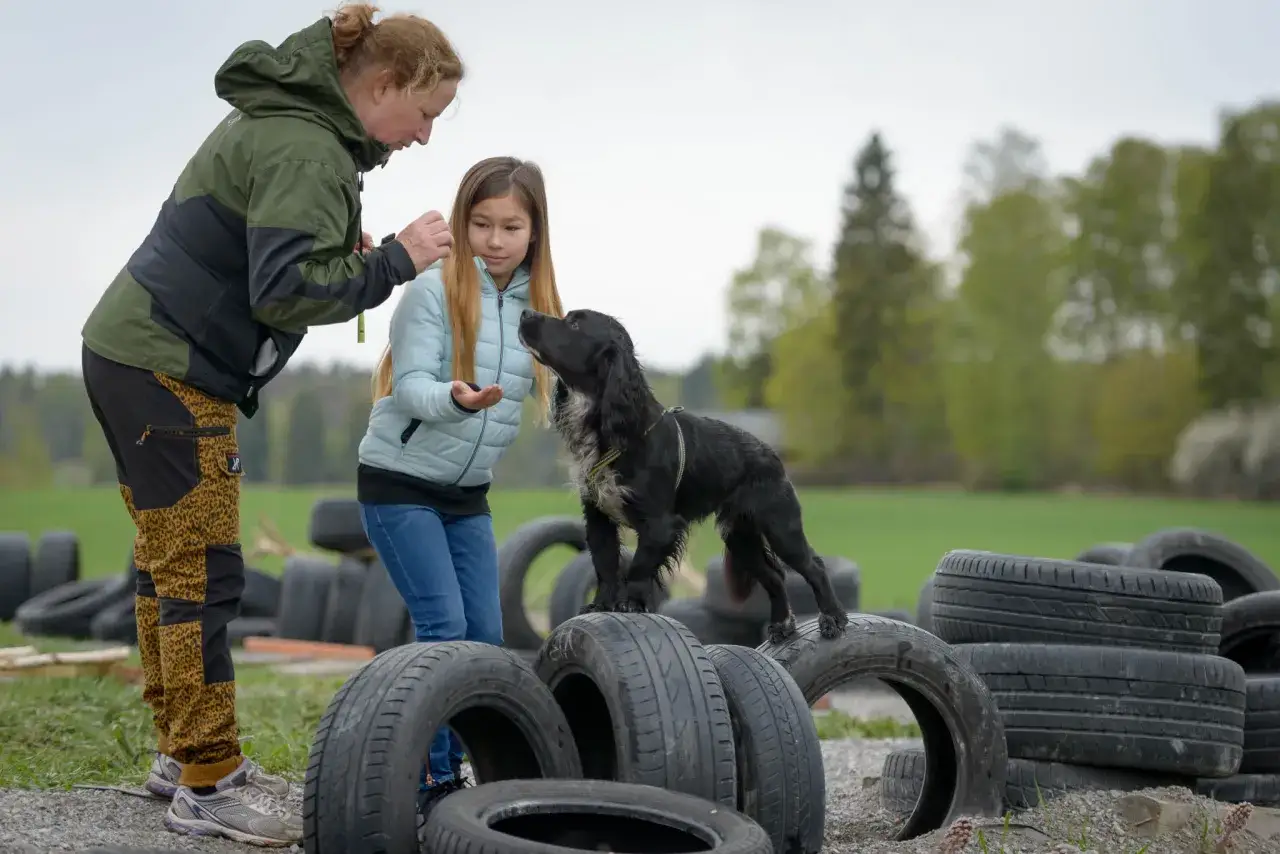 En kvinna och en flicka leker med en valp utomhus bland gamla d&auml;ck. Valpen st&aring;r p&aring; d&auml;cken och tittar upp mot flickans hand.