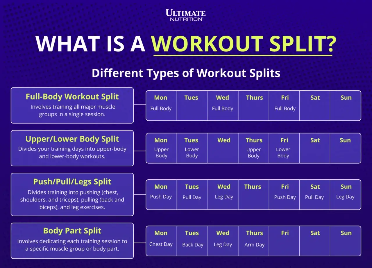 Schemi di allenamento: Full Body, Upper/Lower, Push/Pull/Legs, Body Part Split. Ogni schema organizza i **gruppi muscolari da allenare insieme** in modo diverso.