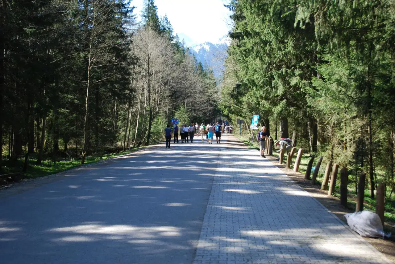 Bukowina Tatrzańska panorama Tatr