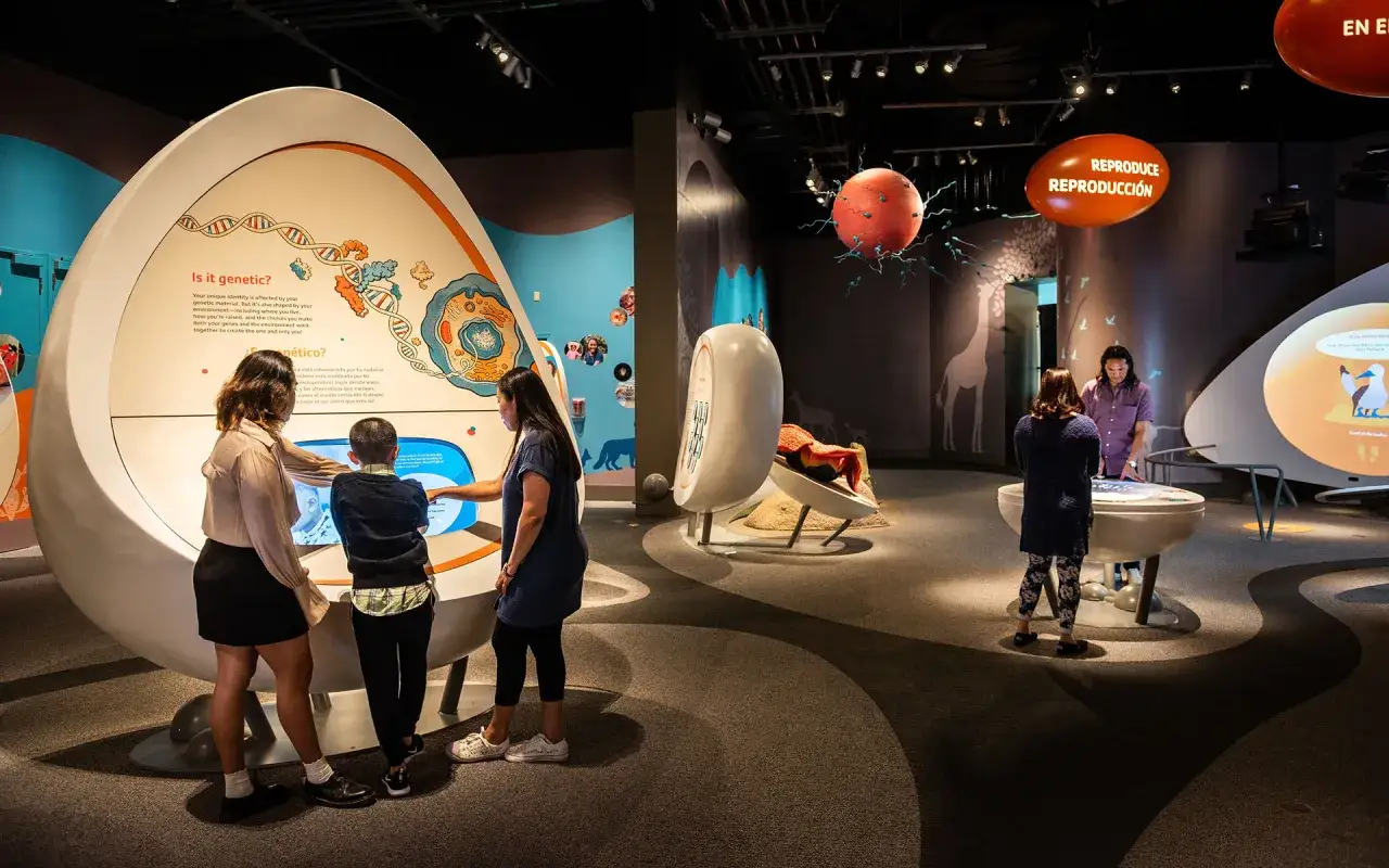Besucher im Techmania Pilsen erkunden interaktive Ausstellungen &uuml;ber Genetik und Fortpflanzung.