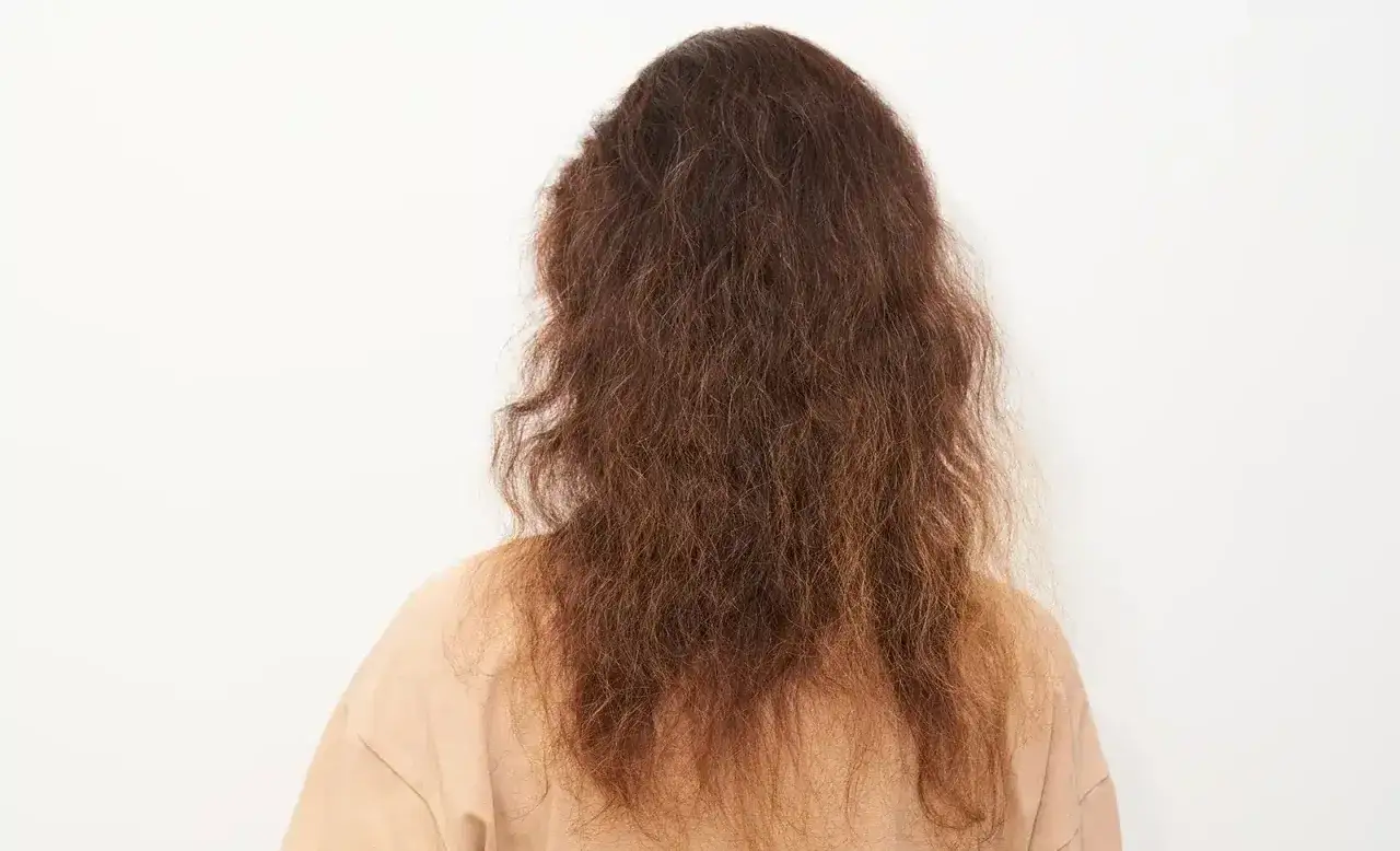 Vista trasera de una mujer con pelo estropajo, castaño y muy seco, que necesita un buen tratamiento.