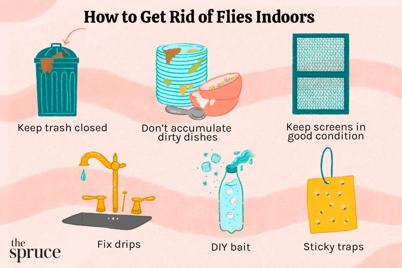 Consejos para saber como matar moscas: cierra la basura, lava platos sucios, repara fugas, usa trampas pegajosas y m&aacute;s.