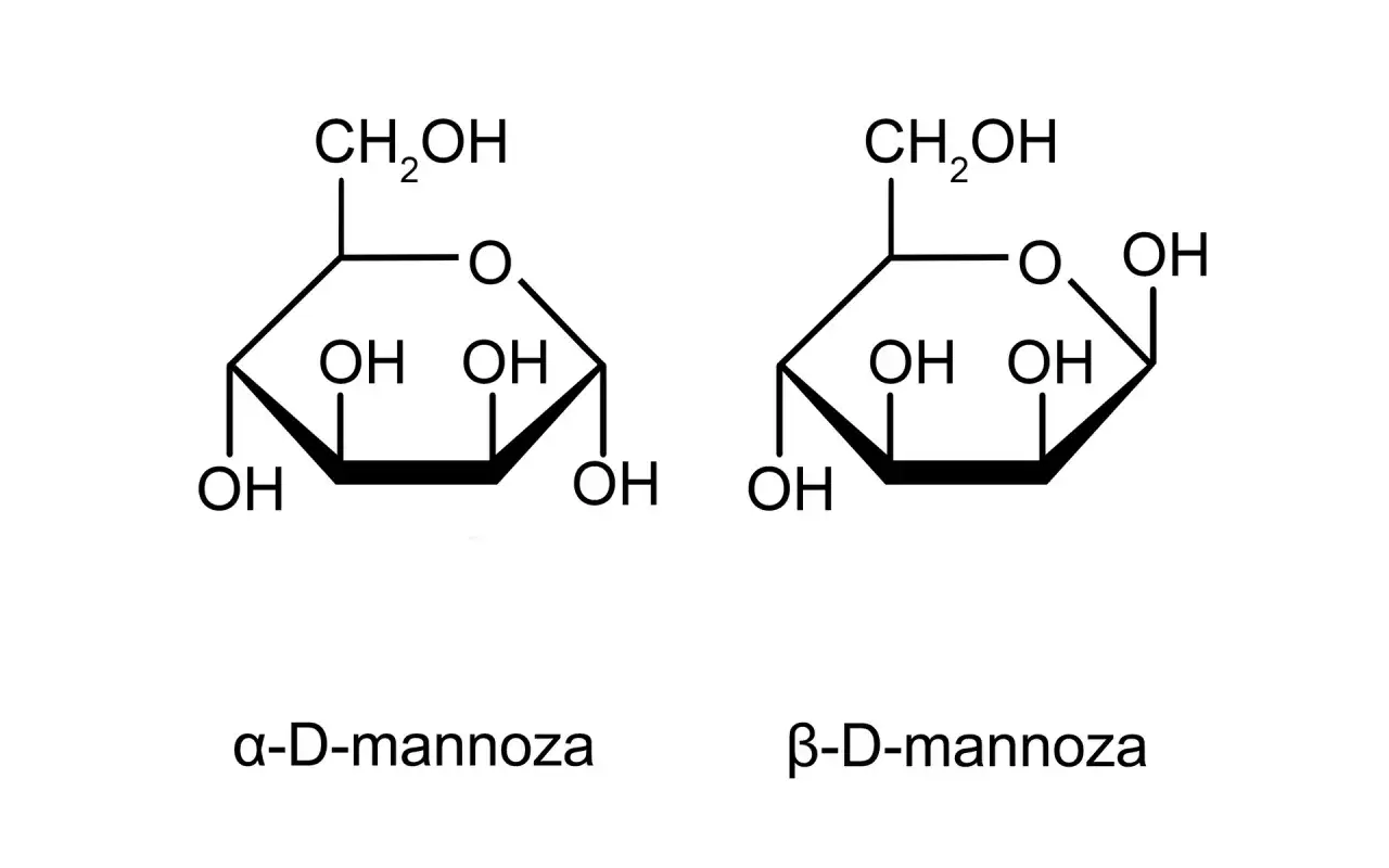 D-mannoza molekuła budowa