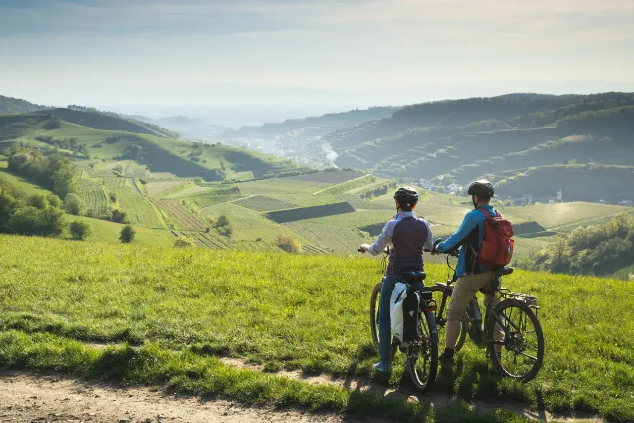 Zwei Radfahrer auf einem Radweg genie&szlig;en die Aussicht auf Weinberge und ein Tal.