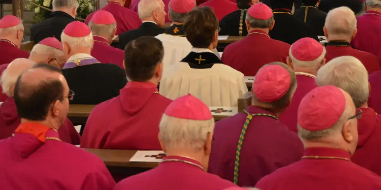 Bischöfe und ein Kardinal in roten und weißen Gewändern sitzen in einer Kirche.