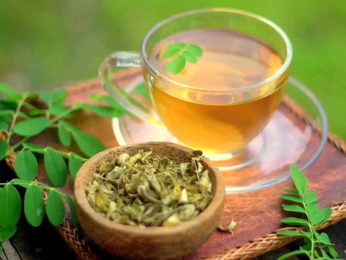 Una taza de t&eacute; dorado y un cuenco de hojas secas, rodeados de hojas verdes frescas. Perfectos tes relajantes para un momento de paz.