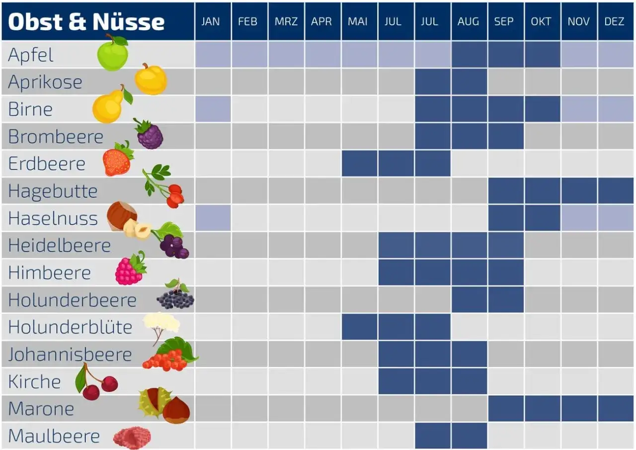 Saisonale Rezepte: &Uuml;bersicht, wann Obst & N&uuml;sse reif sind. Von &Auml;pfeln bis Maulbeeren, die Tabelle zeigt die Erntezeiten f&uuml;r leckere saisonale Rezepte.