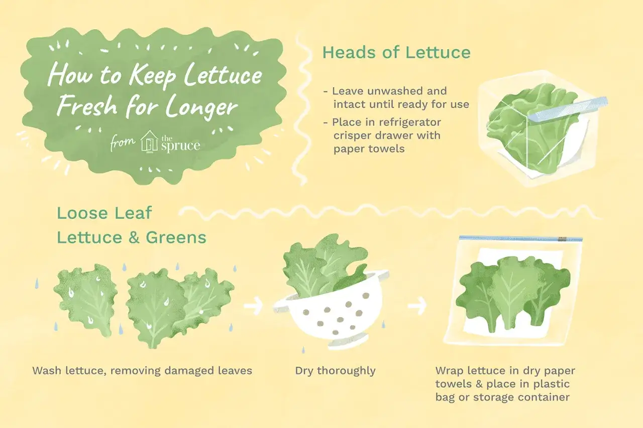 Gu&iacute;a para saber como conservar la lechuga en la nevera: consejos para lechugas enteras y hojas sueltas.