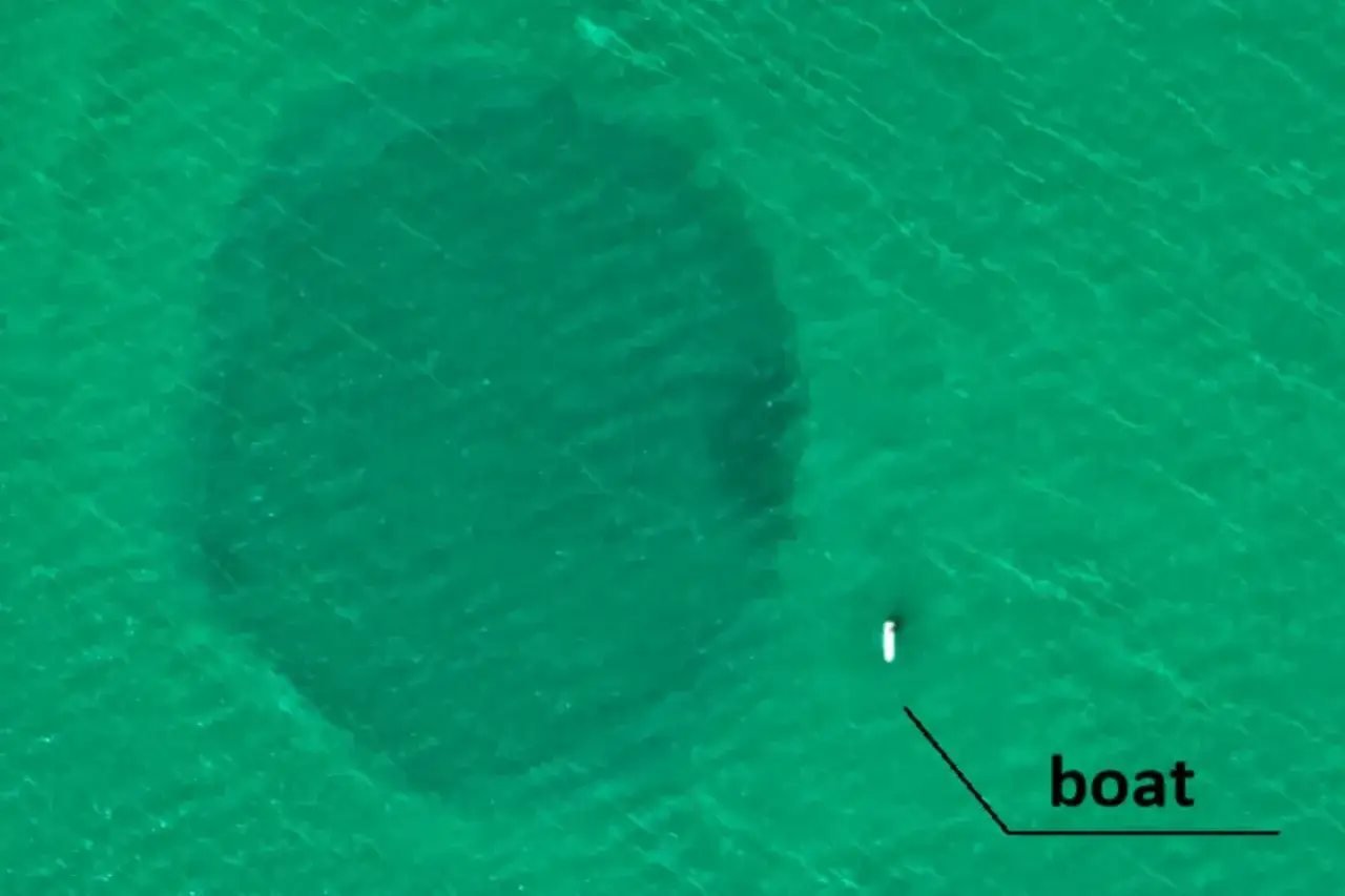 Widok z lotu ptaka na turkusowe morze z ciemniejszym okręgiem, przypominającym blue hole. Obok mała biała łódź.