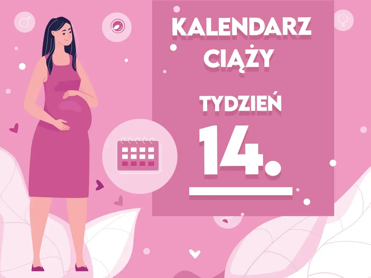 Kobieta w 14 tygodniu ciąży, z widocznym brzuszkiem. Obok kalendarz i napisy 