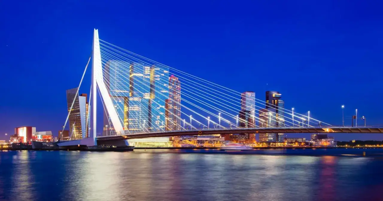 Il ponte Erasmus illumina la notte di Rotterdam, un simbolo iconico di cosa vedere in città.