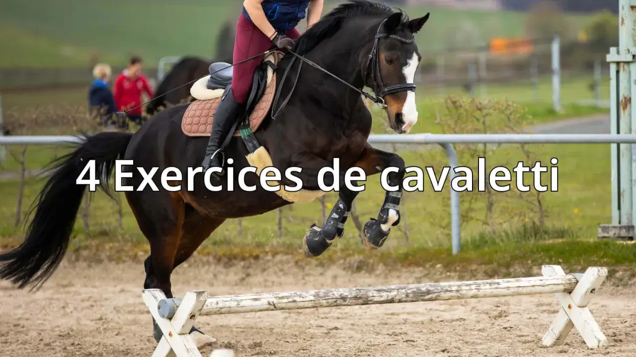 Un cheval brun saute par-dessus un obstacle de **cavaletti équitation**. Le cavalier est en selle, prêt pour l'entraînement.