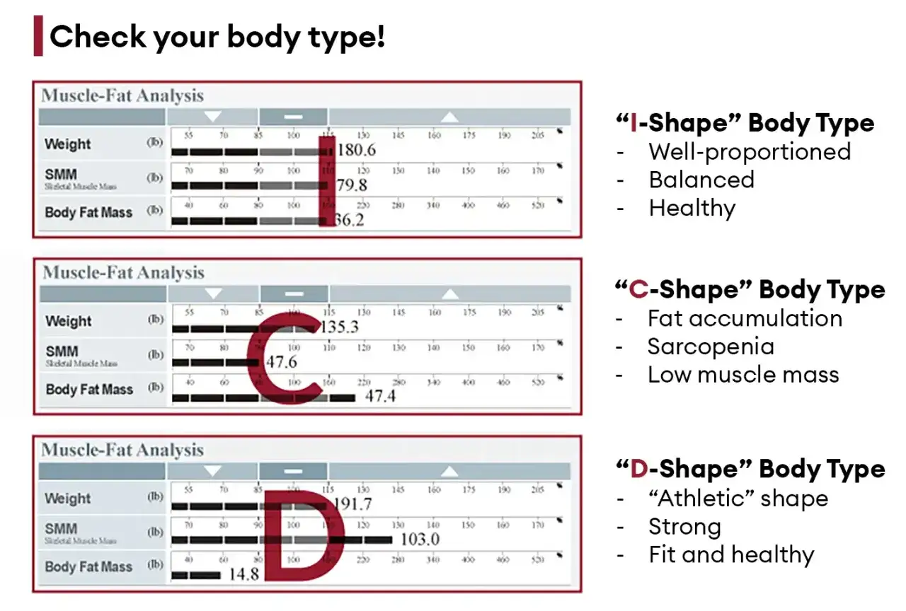 Analyse d'imp&eacute;dancem&egrave;tre : interpr&eacute;tation des r&eacute;sultats pour les types de corps 