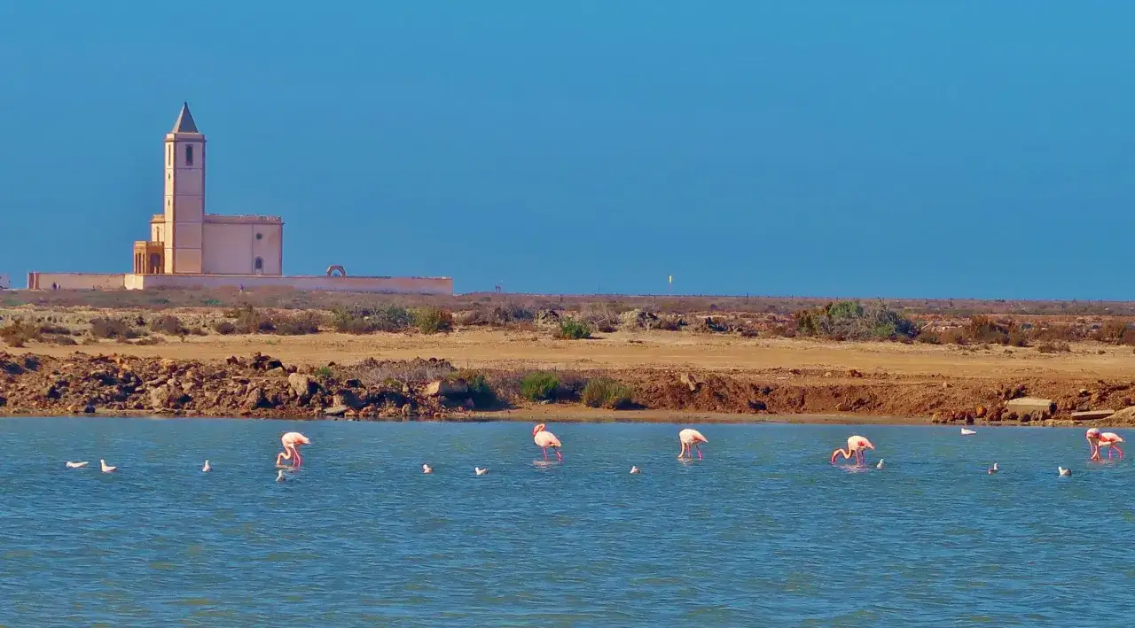 Flamencos rosados pastan en el agua azul frente a la antigua Fabriquilla de Almería, bajo un cielo despejado.