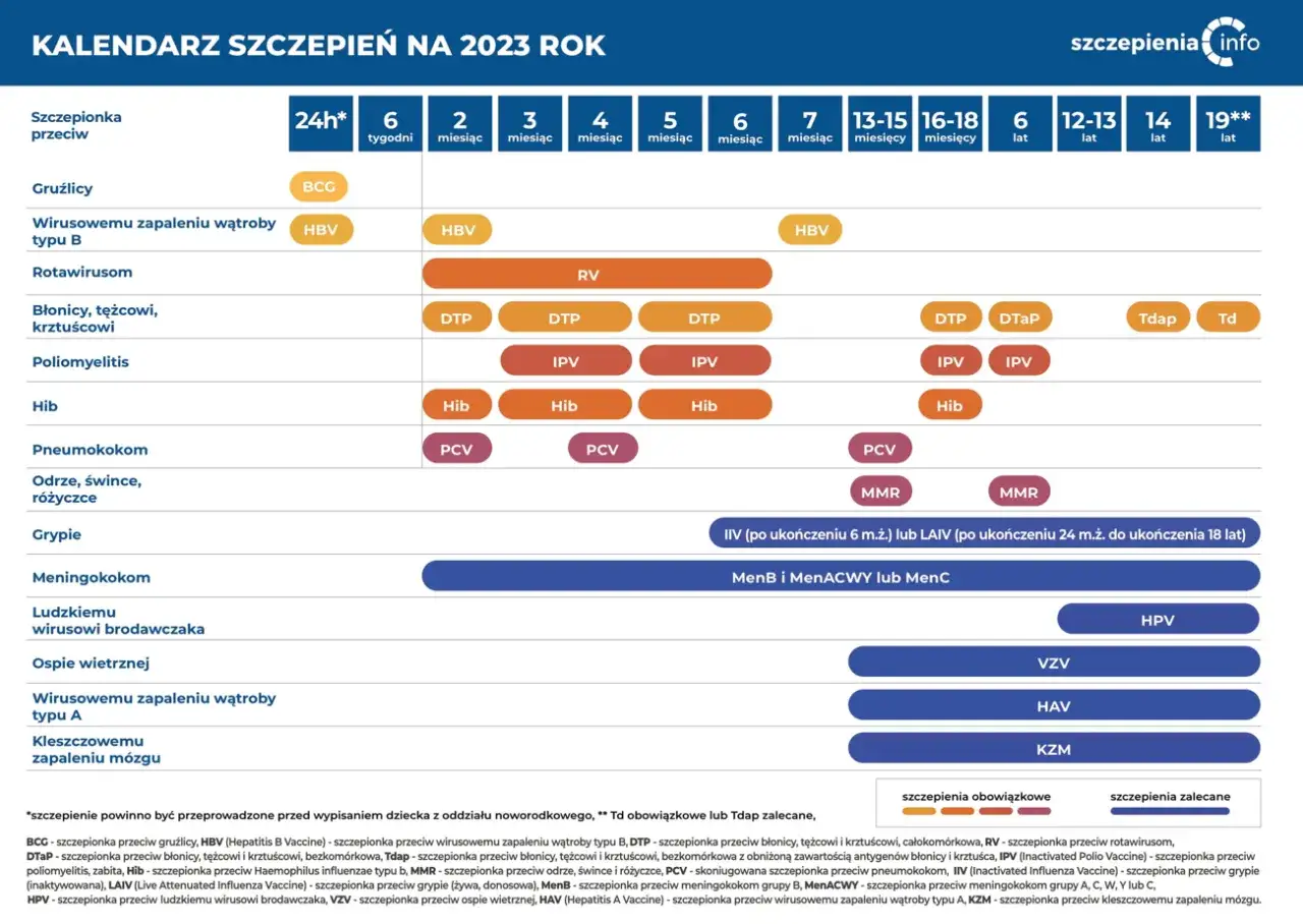 harmonogram szczepień kota infografika