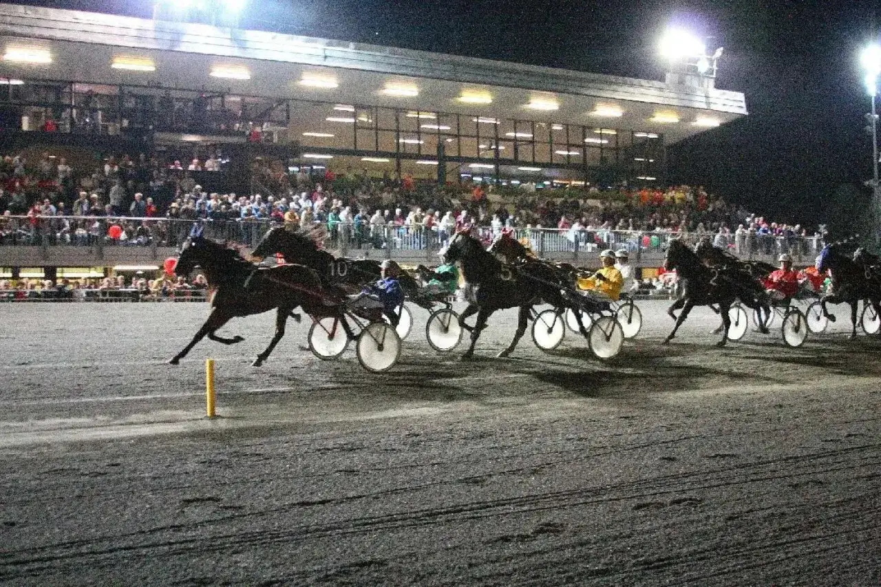 Corsa al trotto all'ippodromo Montegiorgio, cavalli e driver in azione sotto le luci, pubblico sugli spalti.