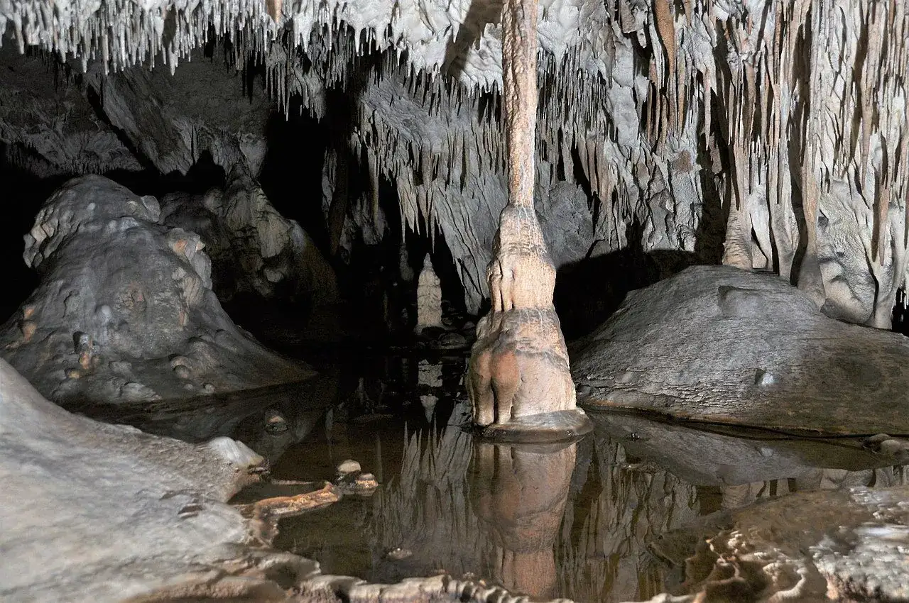 Podziemny świat jaskini, gdzie stalaktyty i stalagmity tworzą niezwykłe formacje. To właśnie bada speleologia.