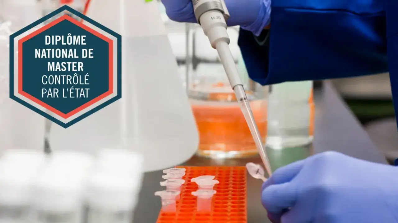 Un dipl&ocirc;me national de Master contr&ocirc;l&eacute; par l'&Eacute;tat, obtenu &agrave; distance, est symbolis&eacute; par une main gant&eacute;e effectuant une manipulation en laboratoire.