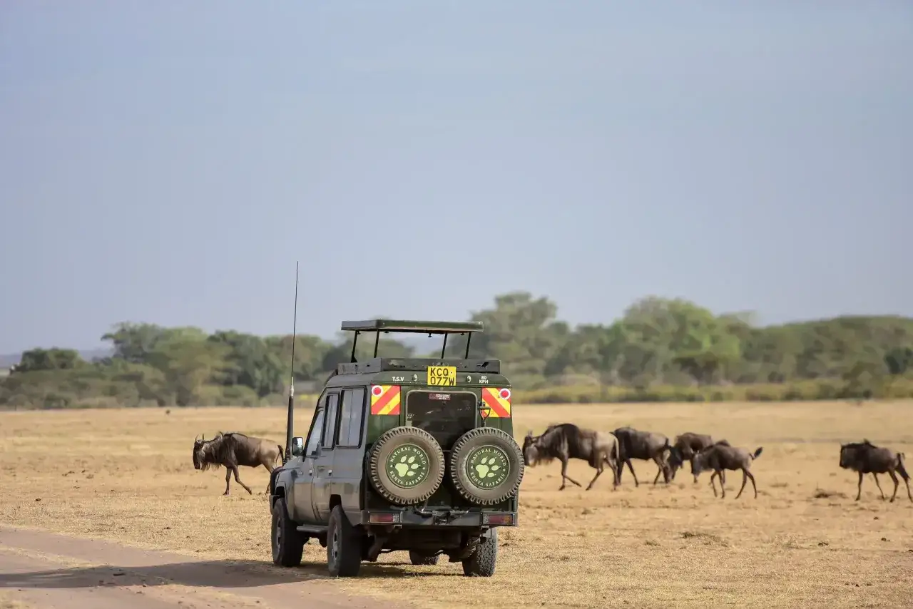 Un safari in Kenya con un fuoristrada verde e gnu che pascolano. Il costo del safari in Kenya è un'esperienza indimenticabile.