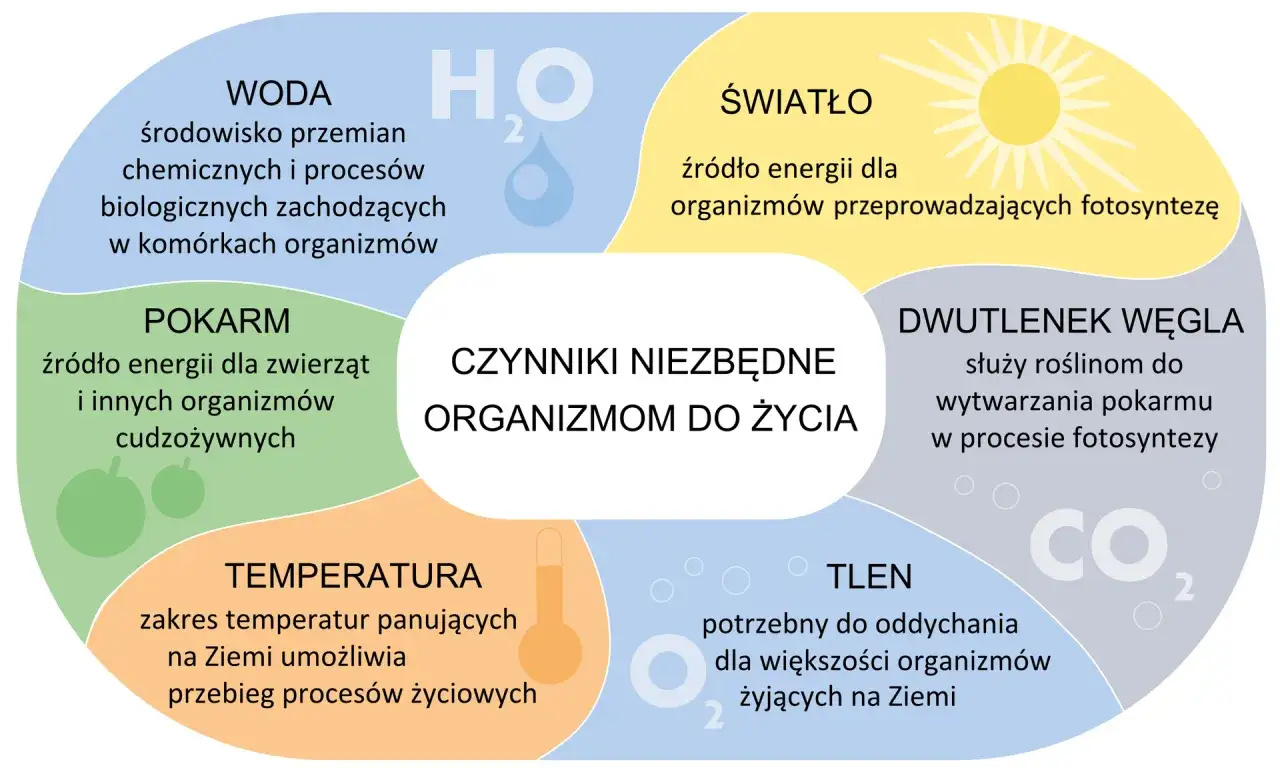 Czynniki niezbędne organizmom do życia: woda, pokarm, temperatura, światło, dwutlenek węgla i tlen. Obecnie wyróżniamy następujące królestwa organizmów.