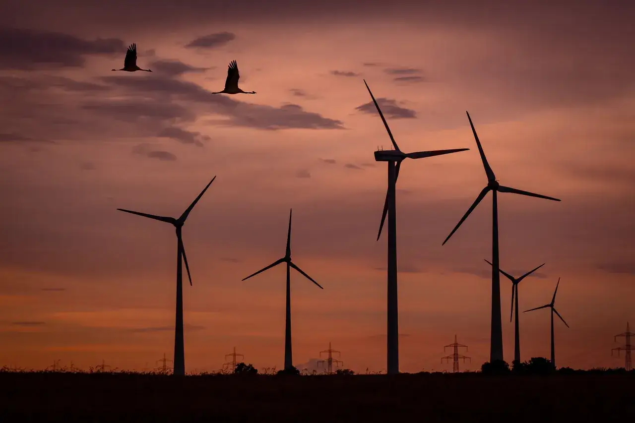 Siluetas de aerogeneradores y grullas volando al atardecer, un recordatorio de la importancia de las energ&iacute;as renovables para un futuro sostenible.