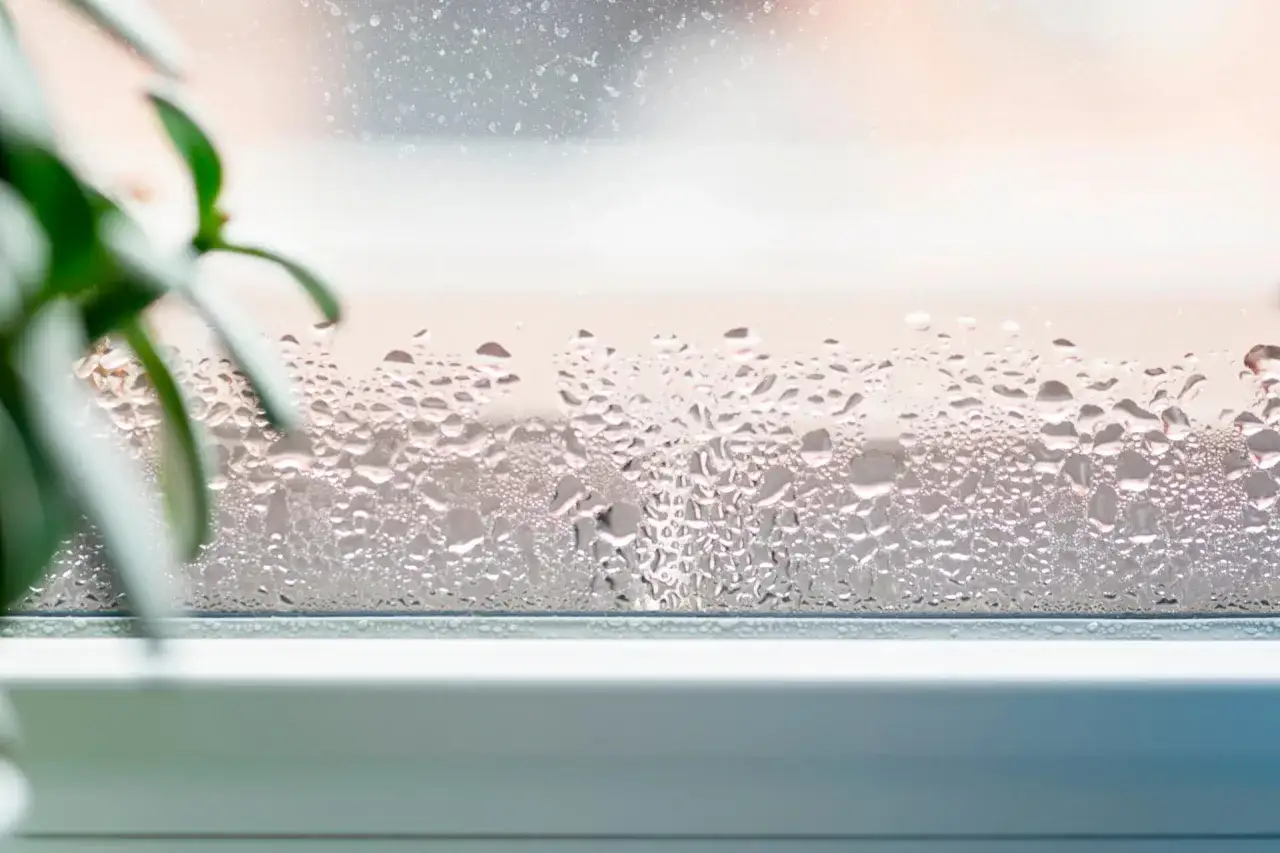 Gotas de agua en un cristal, un efecto que impide la condensaci&oacute;n de gotas en cristales.