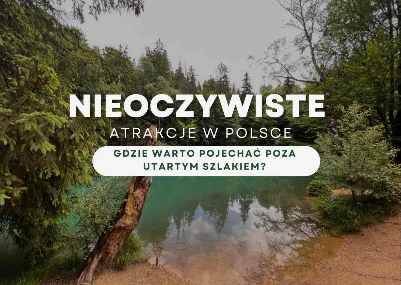 Odkryj nieznane miejsca w Polsce! Jezioro otoczone lasem, idealne na podróż poza utartym szlakiem.