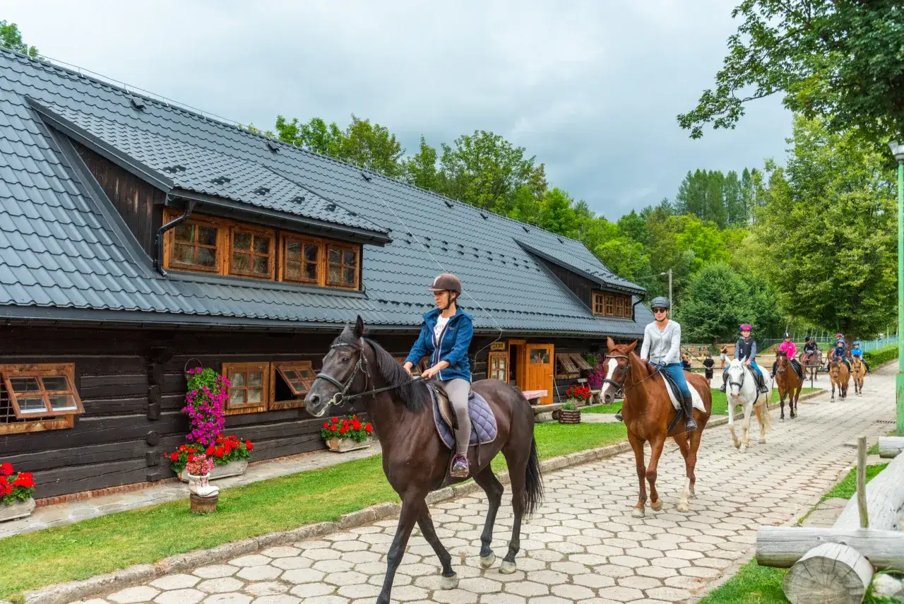 stadnina koni Jabłonna krajobraz