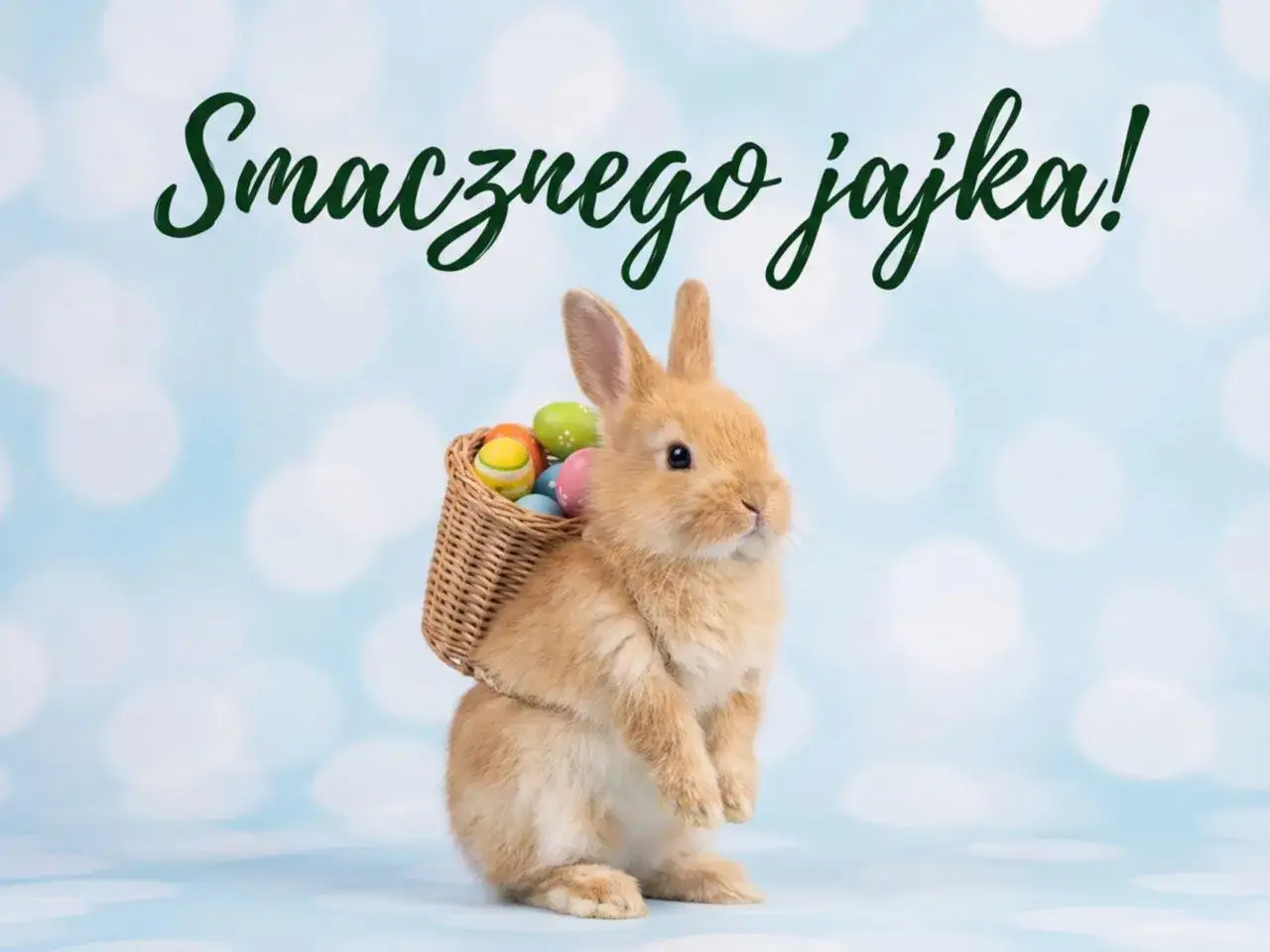 Uroczy króliczek z koszyczkiem kolorowych jajek na plecach, niosący wesołe zyczenia wielkanocne.