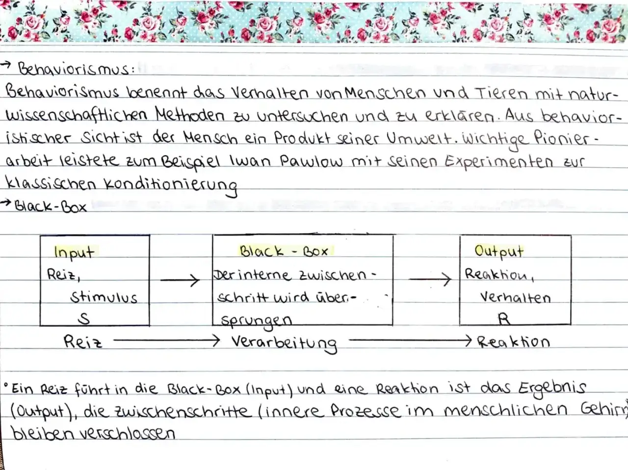 Schema zum Behaviorismus: Input (Reiz) geht in die Black-Box (Verarbeitung), Output (Reaktion) ist das Ergebnis. Assoziatives Lernen erklärt diese Zusammenhänge.