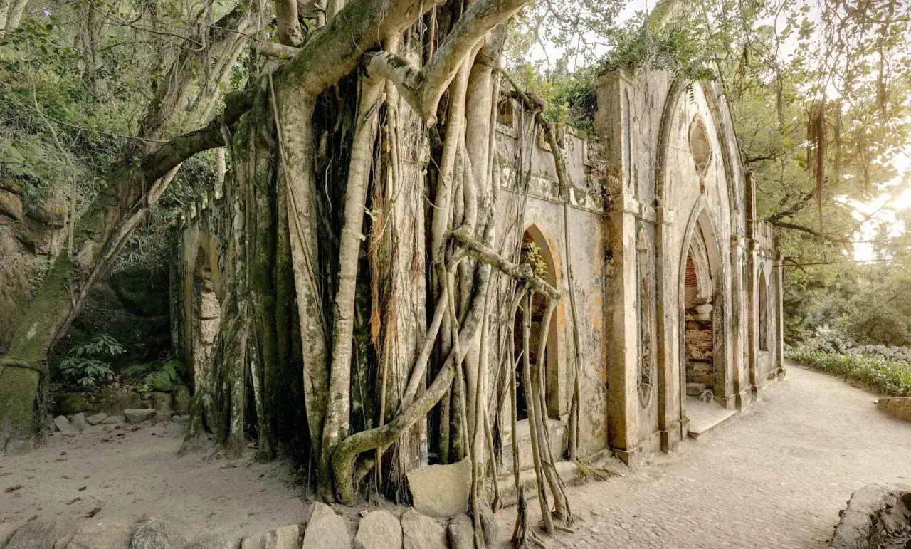 Ancient ruins in Montserrat, Portugal, are being reclaimed by nature. Thick tree roots embrace the crumbling stone walls, creating a mystical, overgrown scene.