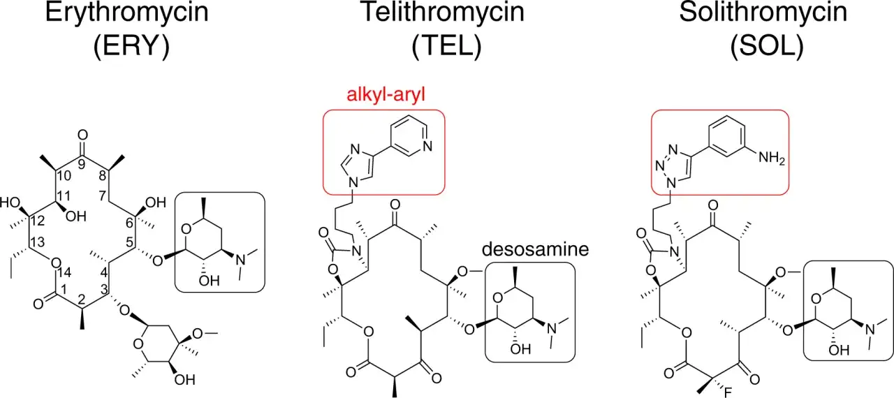 Struktury erytromycyny (ERY), telitromycyny (TEL) i solitromycyny (SOL). Azytromycyna jest podobna do erytromycyny.