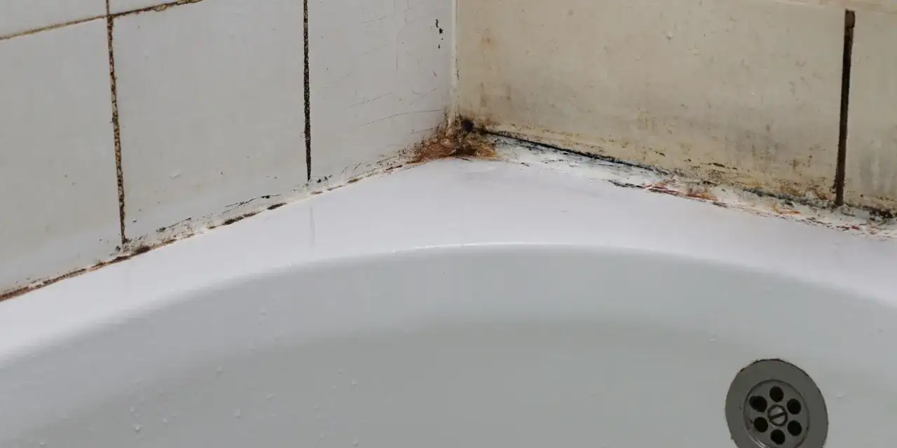 Coin de baignoire avec carrelage qui se décolle, traces de moisissure et d'humidité.