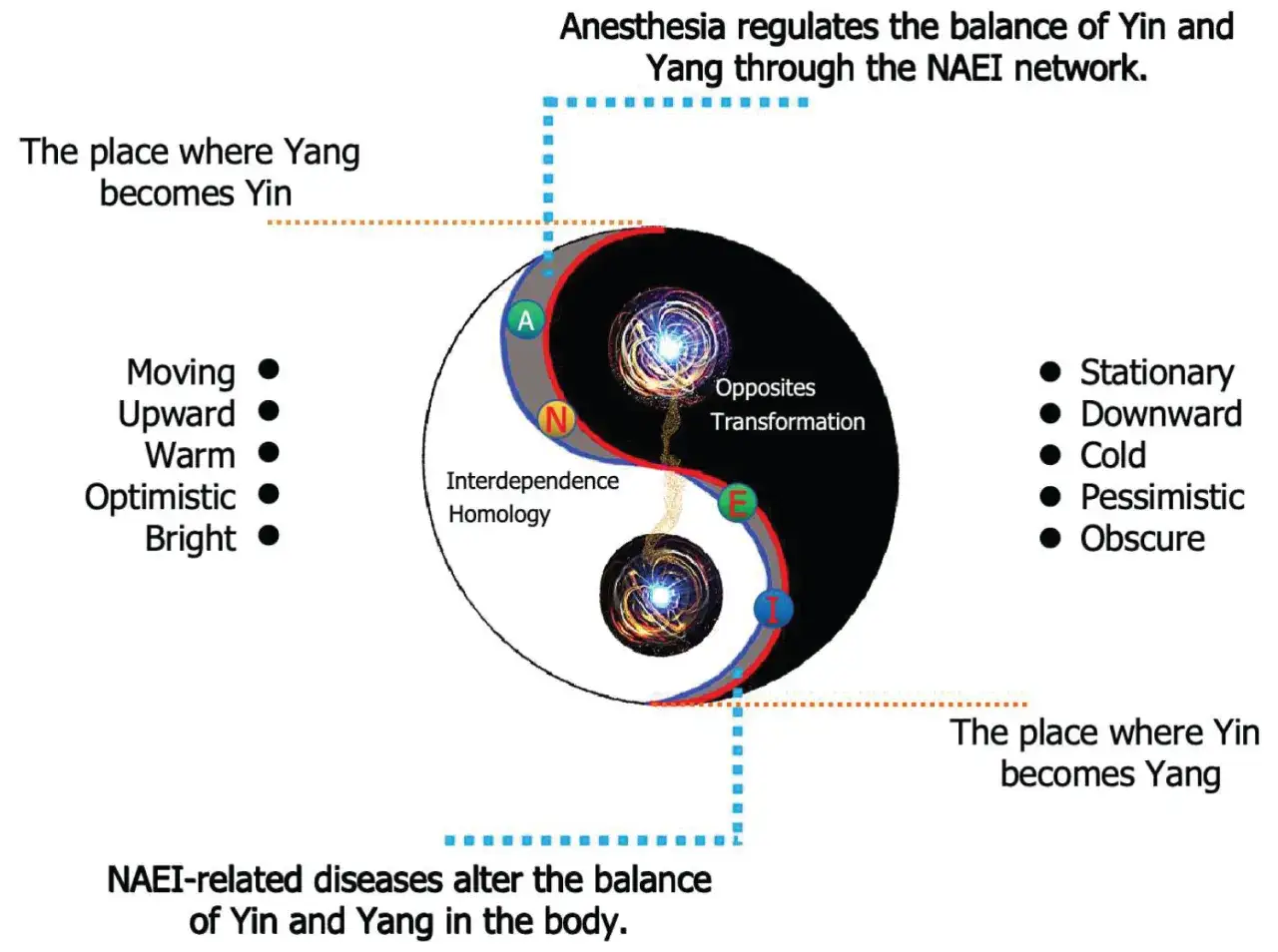 En yin yang-symbol illustrerar balansen mellan motsatser som r&ouml;rlighet och stillhet, v&auml;rme och kyla, samt optimism och pessimism.